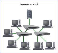 Topologa en rbol